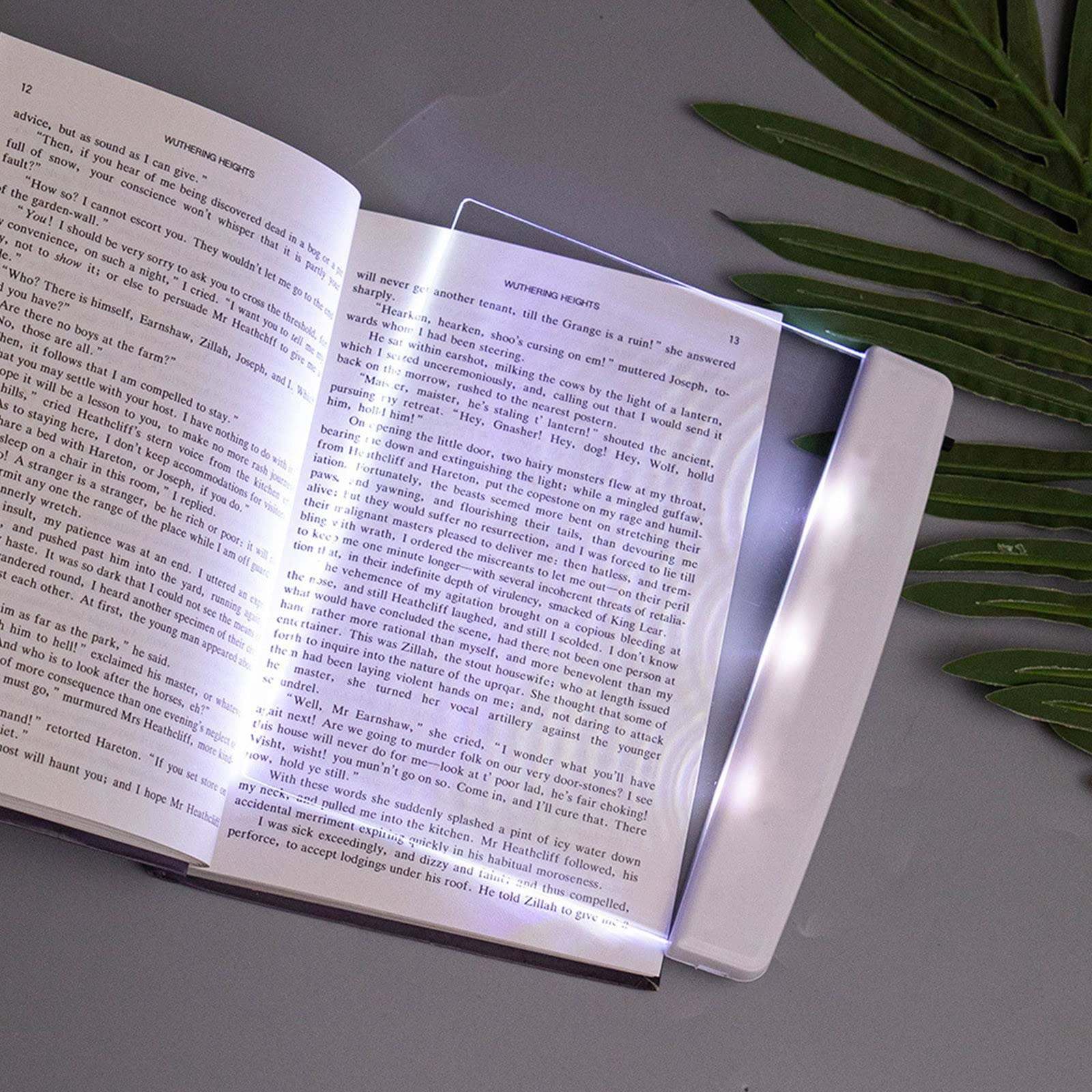 Portable LED Reading Light